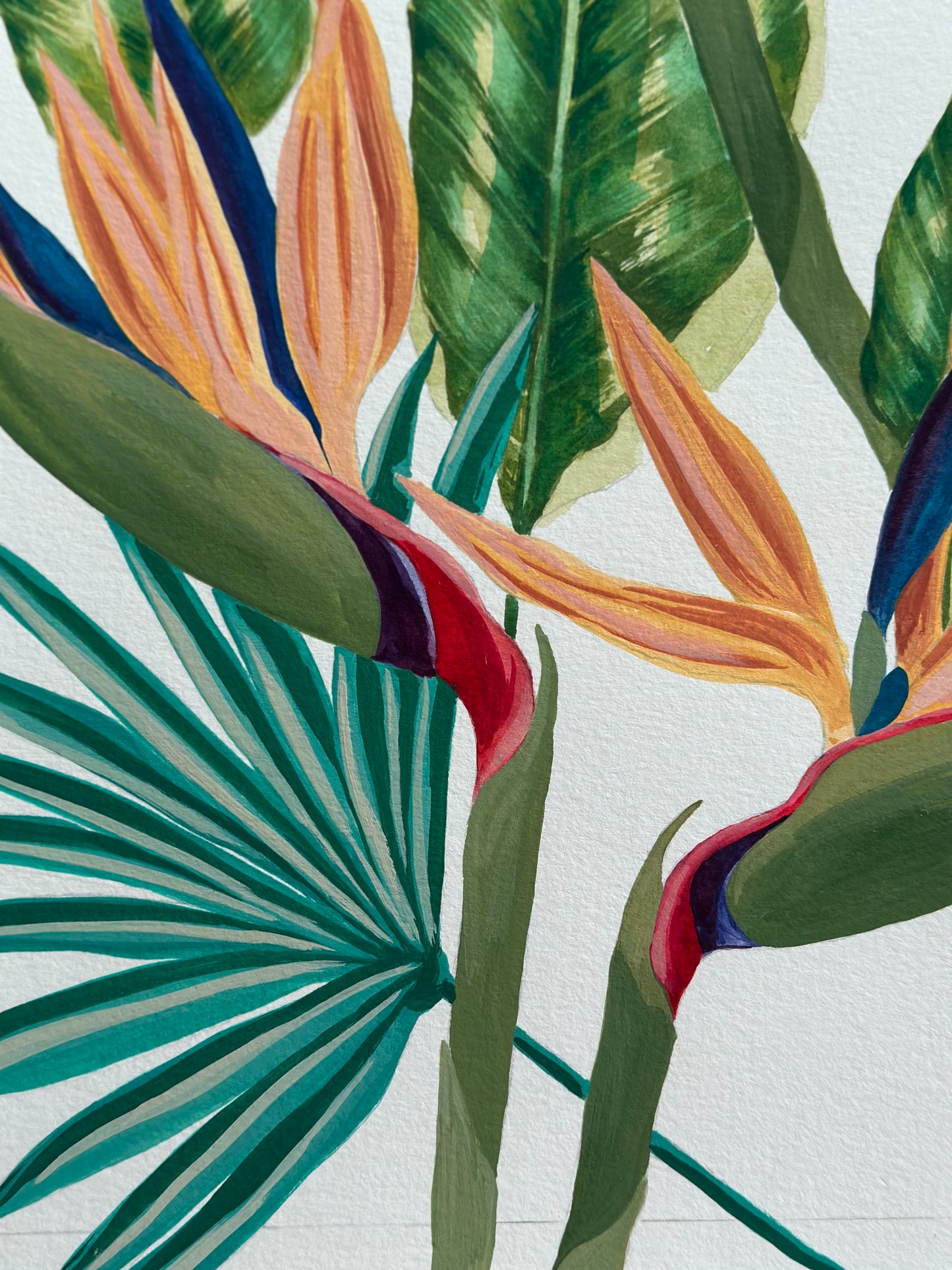 Botanical Gardens Of Hawaii - Bird Of Paradise