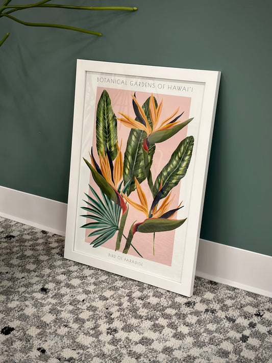 Botanical Gardens Of Hawaii - Bird Of Paradise