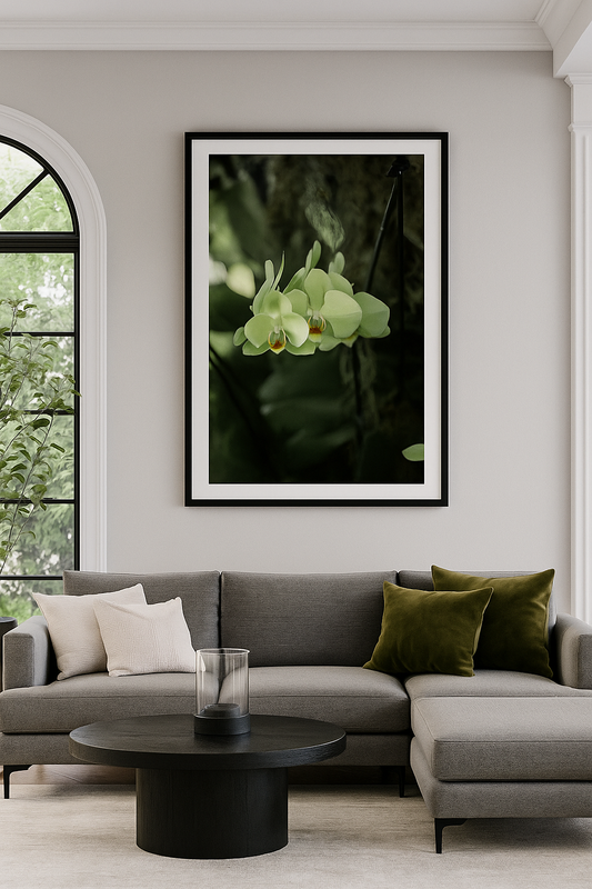 New York Botanical Garden Orchid Print 3
