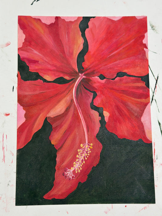 Hibiscus Red