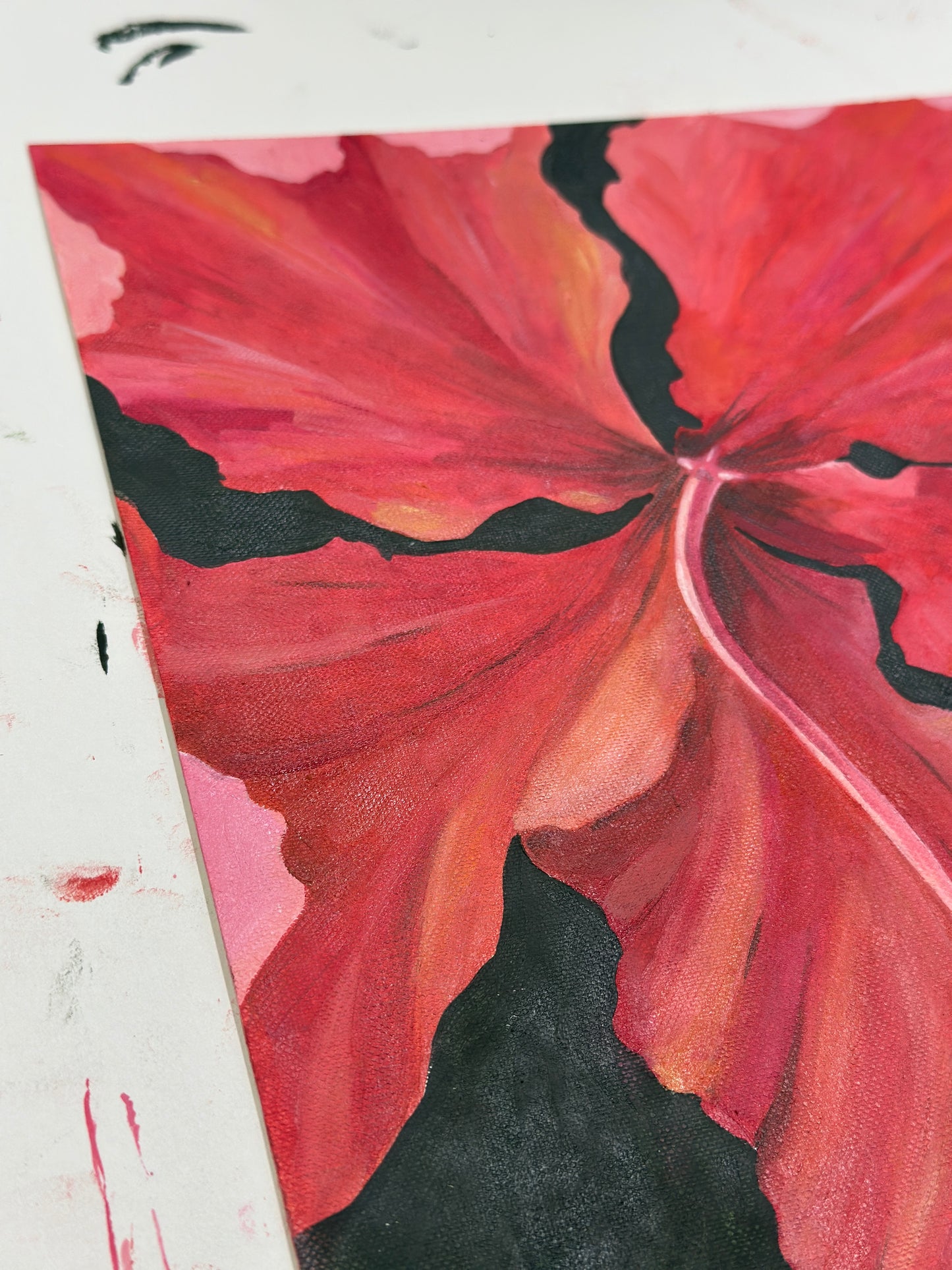 Hibiscus Red