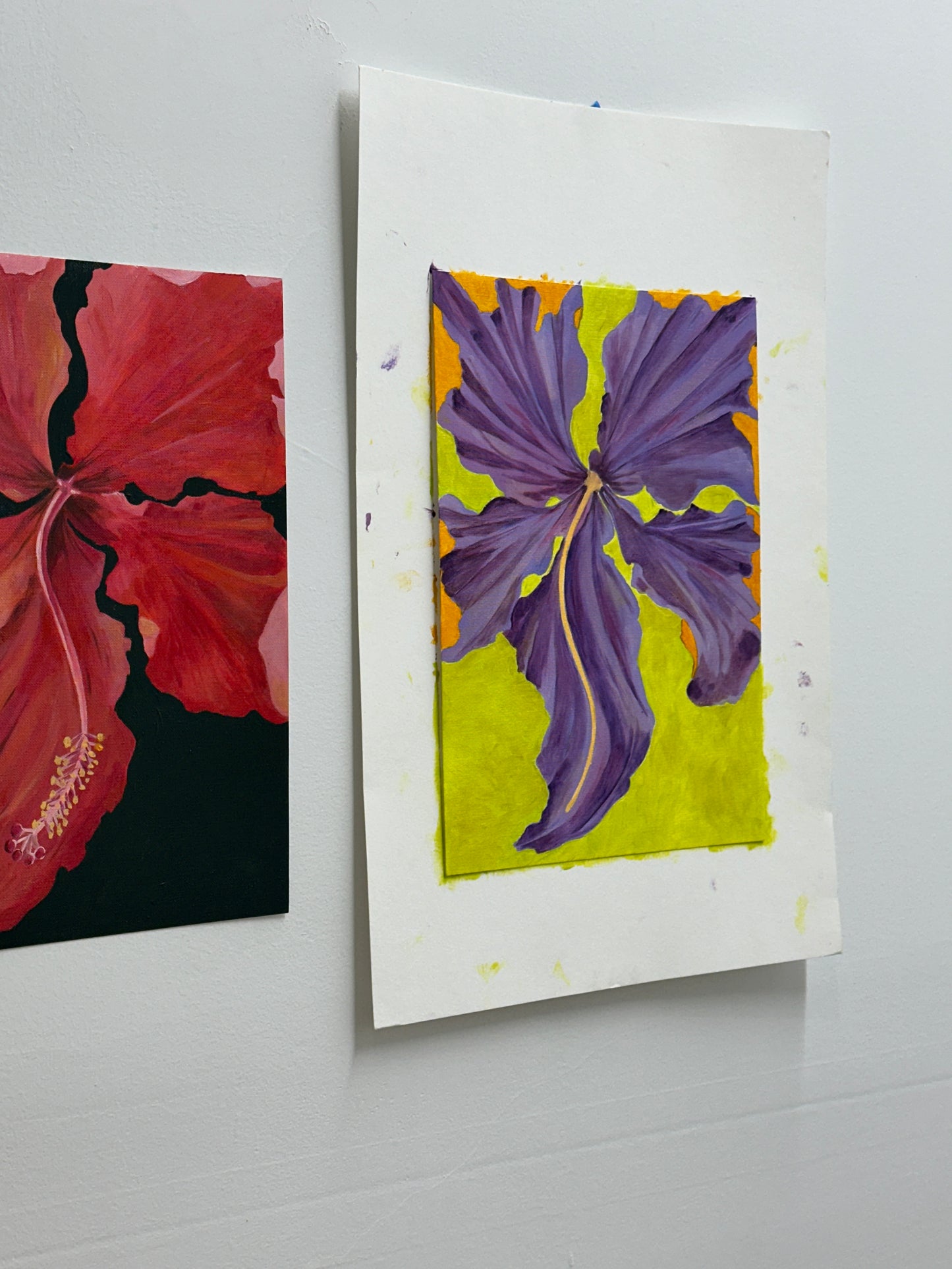 Hibiscus Neon