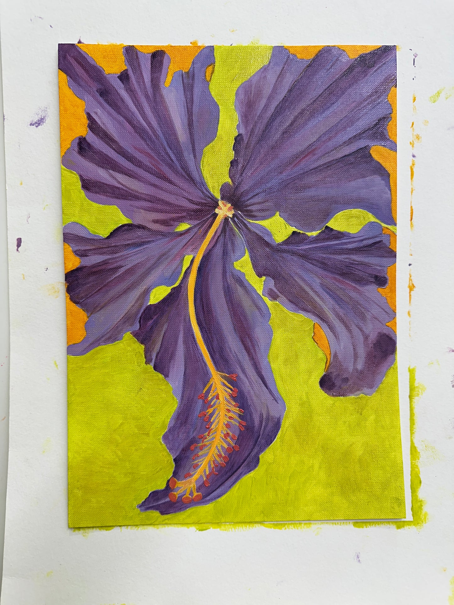 Hibiscus Neon