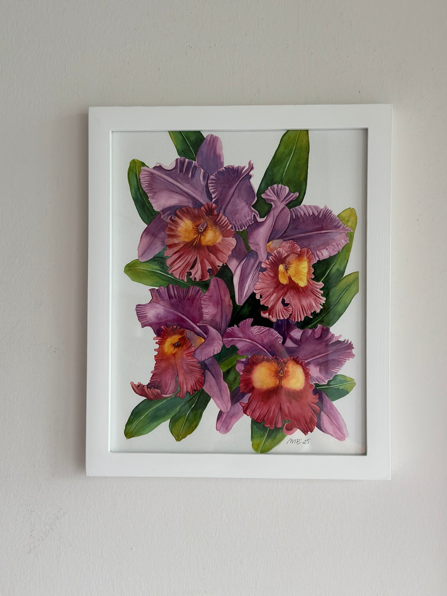 Cattleya Orchids Art Print