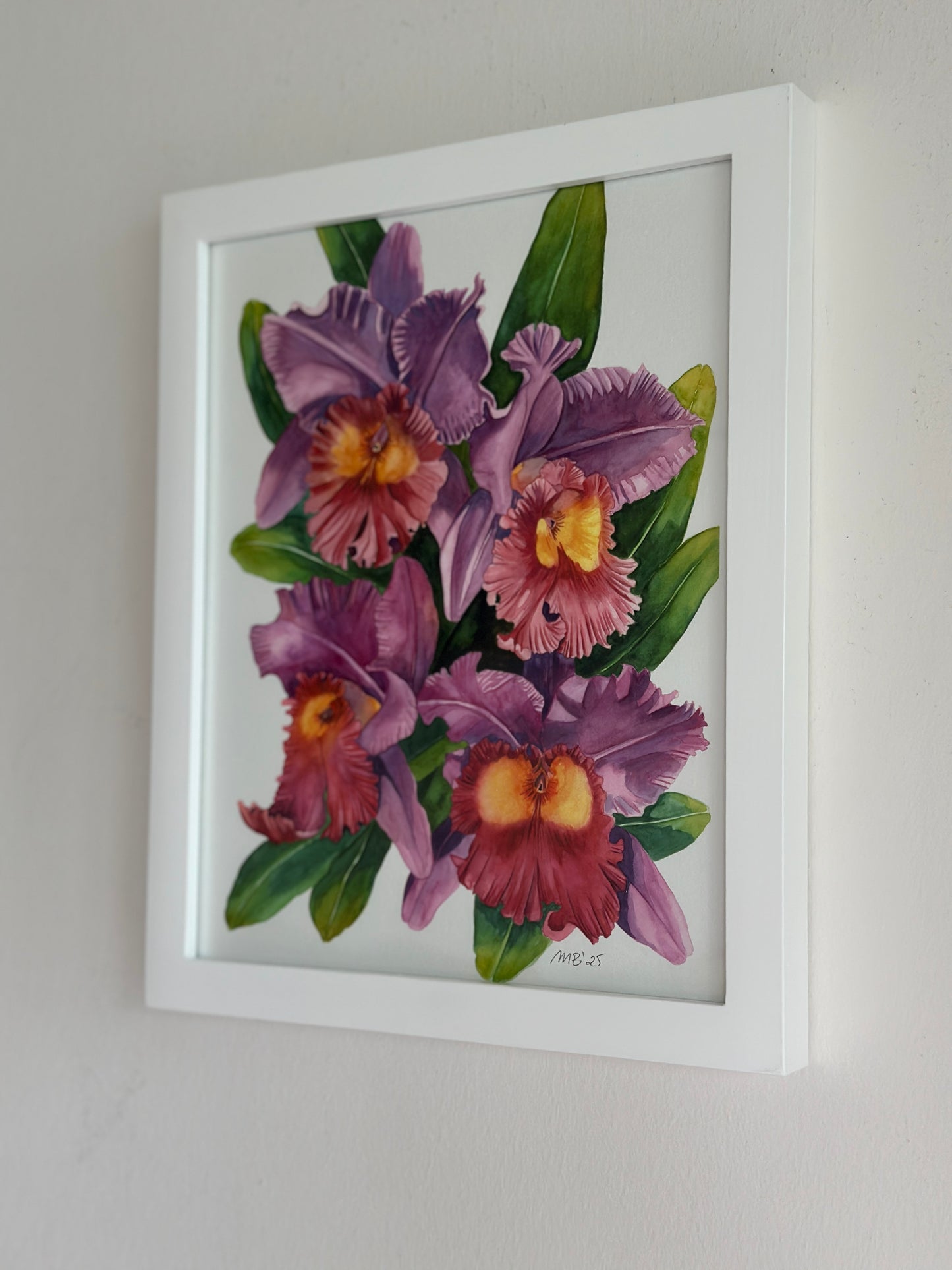 Cattleya Orchids Art Print
