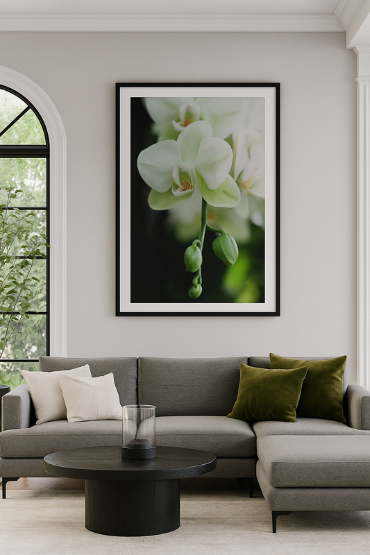 New York Botanical Garden Orchid Print 5
