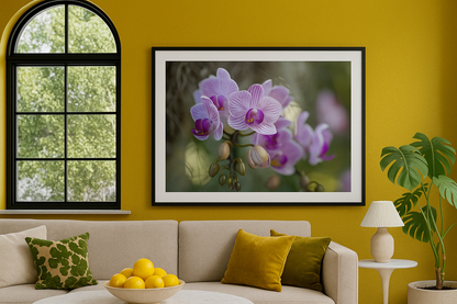 New York Botanical Garden Orchid Print 6