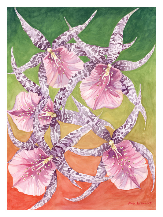 Dancing Orchids