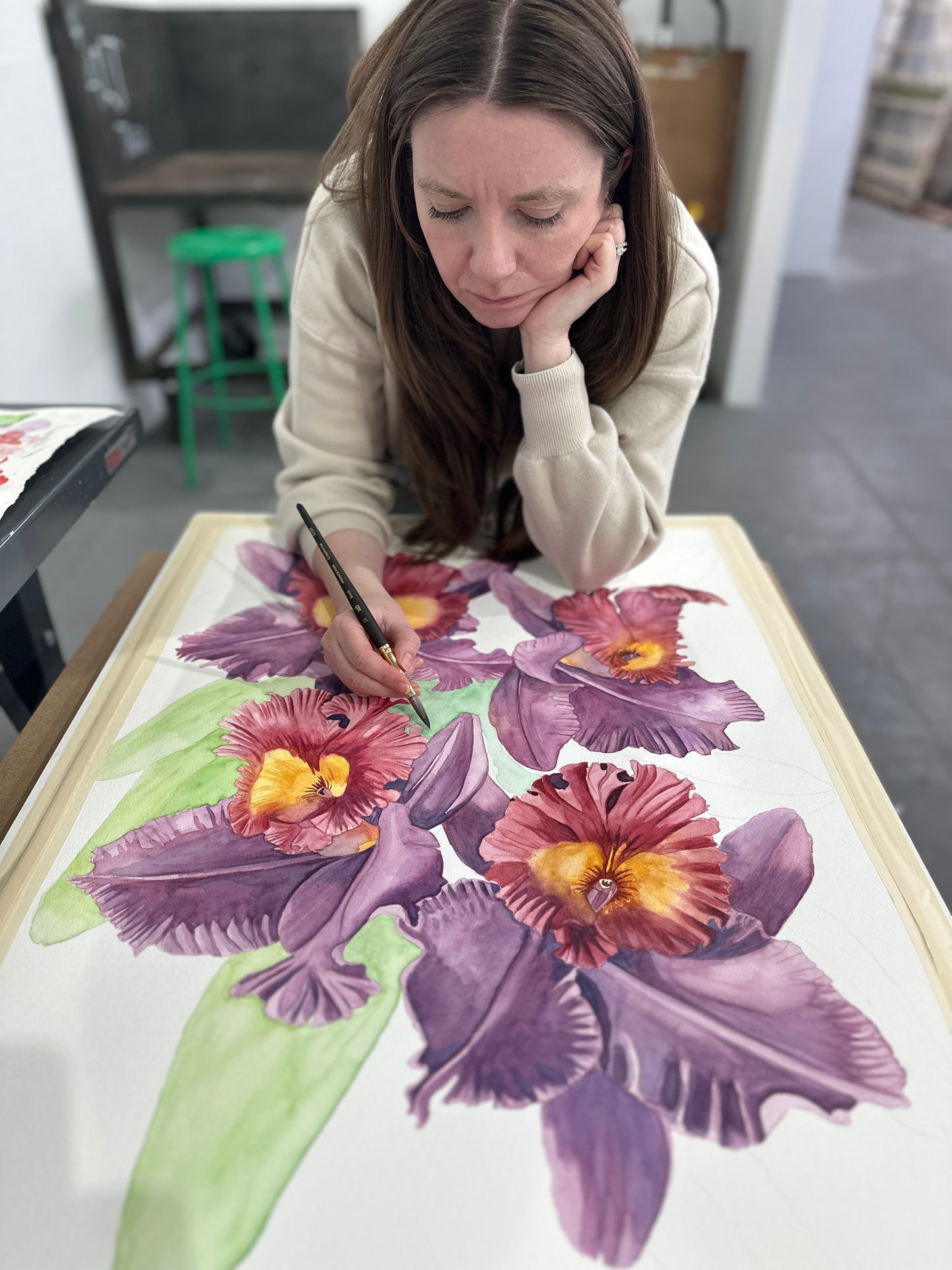 Cattleya Orchids