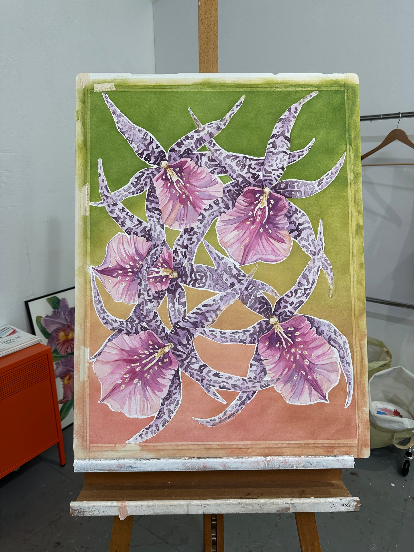 Dancing Orchids