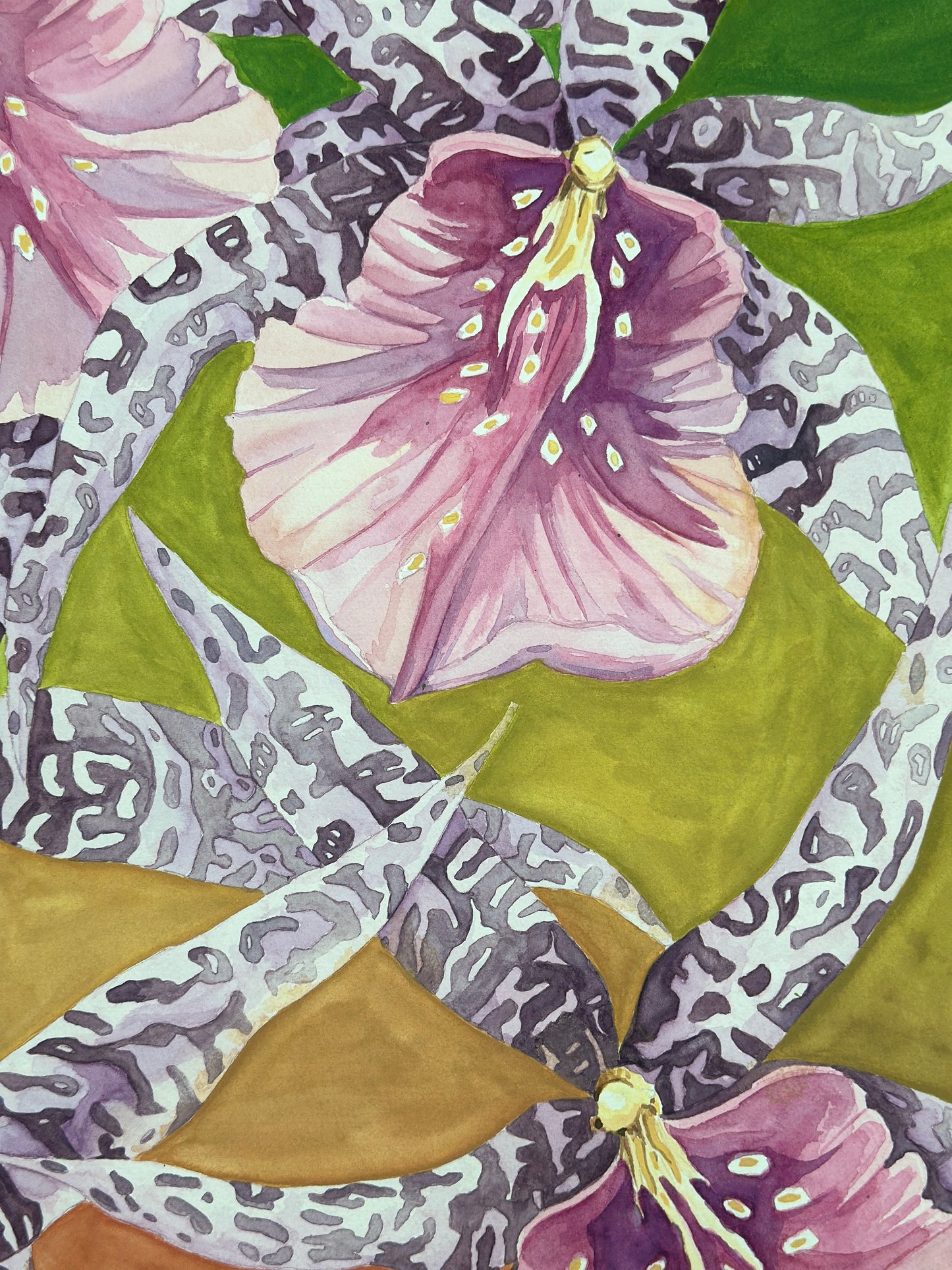 Dancing Orchids