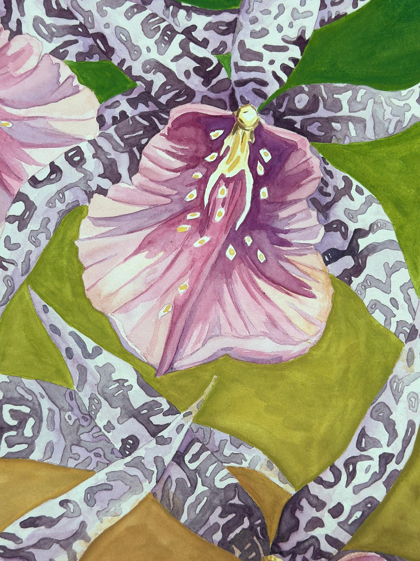 Dancing Orchids