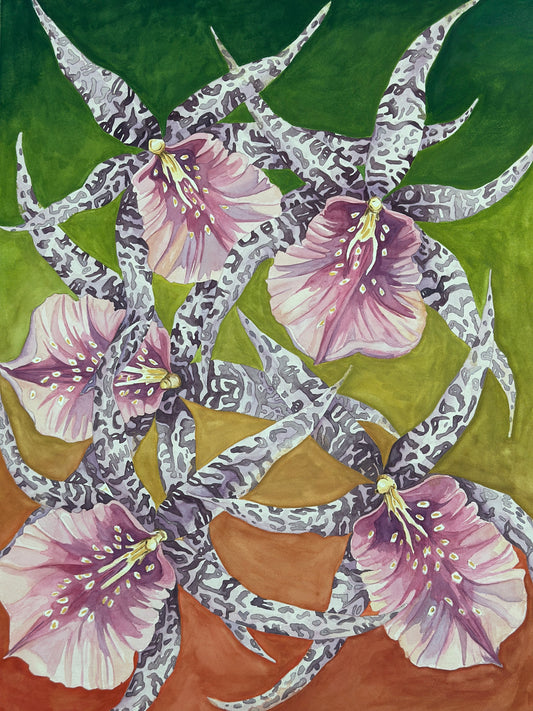 Dancing Orchids