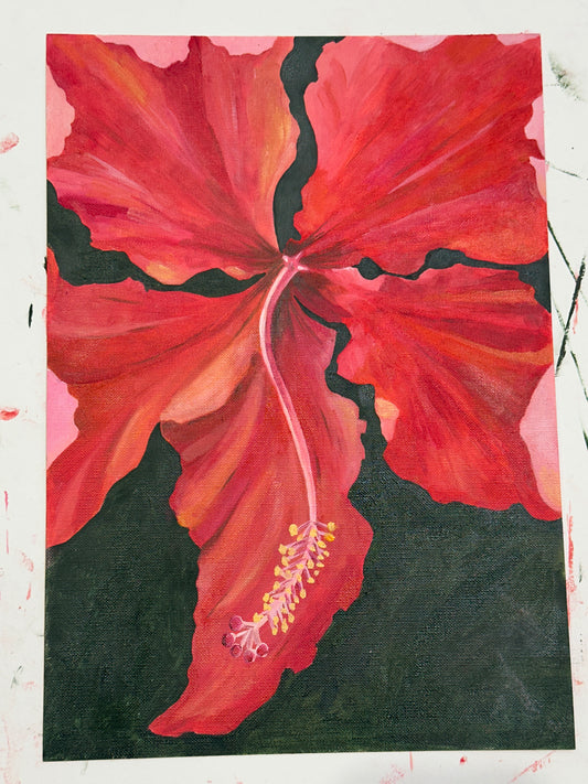 Hibiscus Red