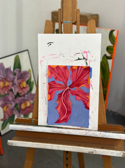 Hibiscus Blue