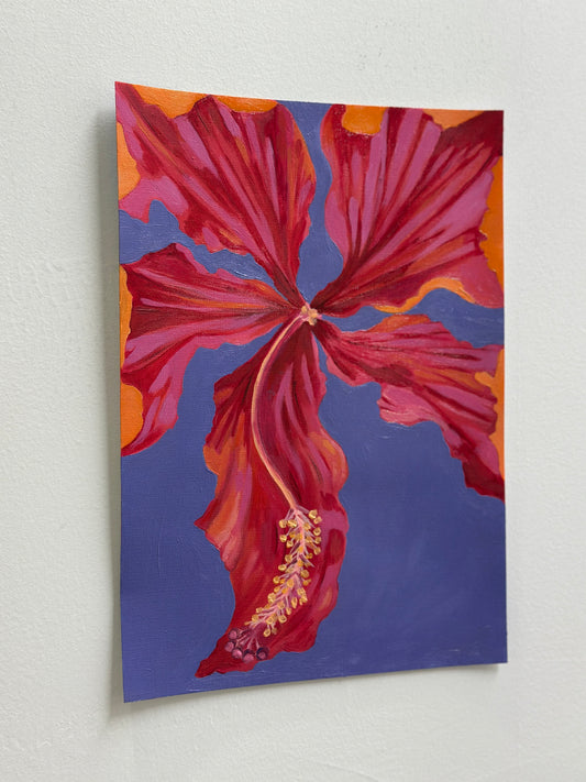 Hibiscus Blue