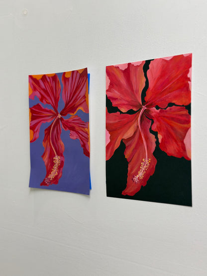 Hibiscus Blue