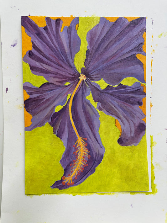 Hibiscus Neon