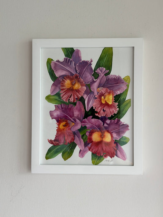 Cattleya Orchids Art Print