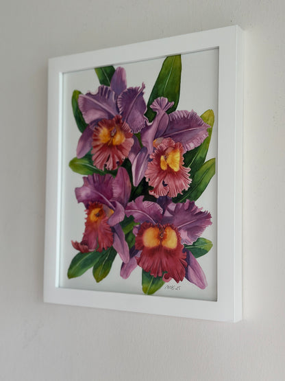 Cattleya Orchids Art Print